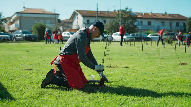 270323 - Viareggio_Conad_1.14.1.jpg
